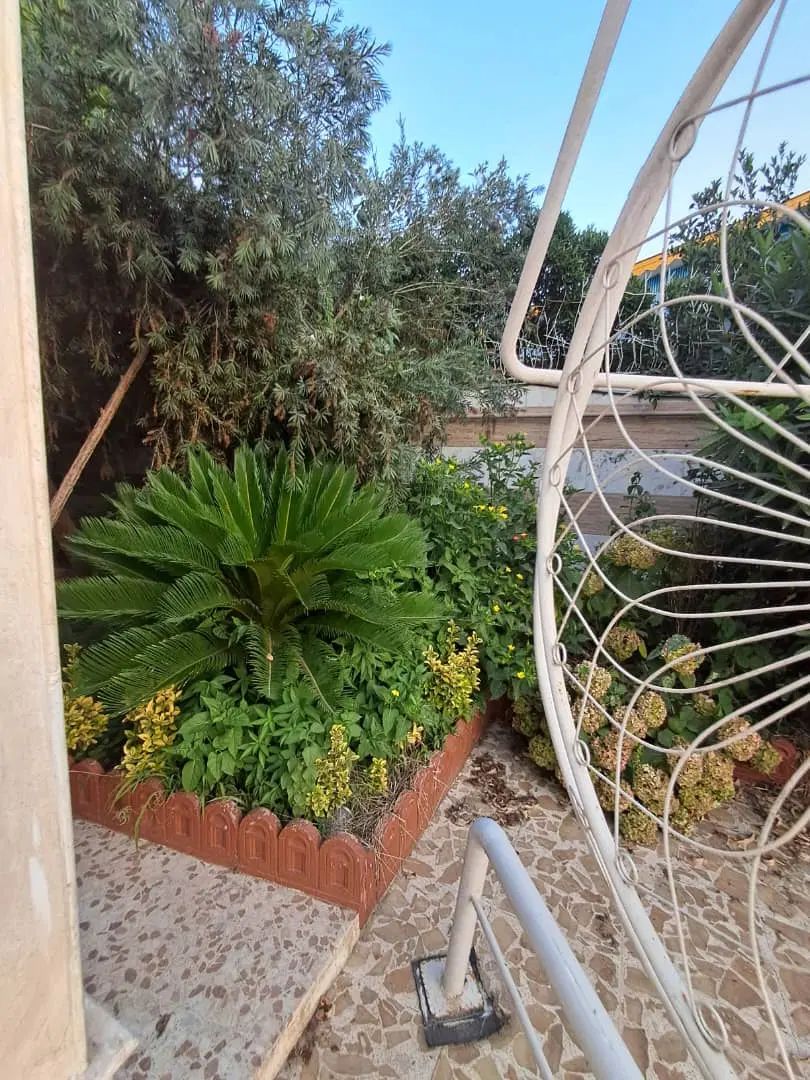 باغ ۲هزار متری گلسار  منگوده مناسب استفاده تجاری|اجارهٔ خانه و ویلا|رشت, دیلمان|دیوار