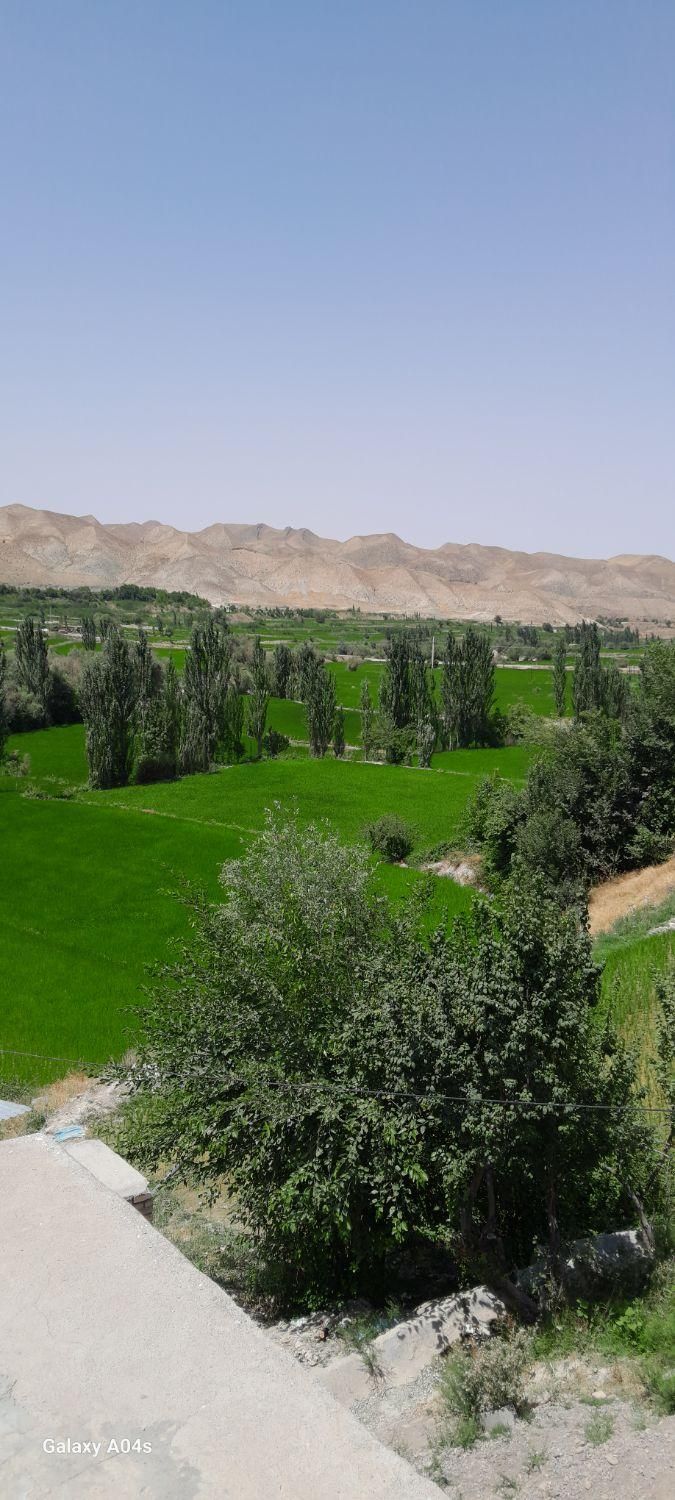 اجاره ،بومگردی‌‌ همیشه‌‌سبز کلات‌نادری|اجارهٔ کوتاه‌مدت آپارتمان و سوئیت|مشهد, بهمن|دیوار