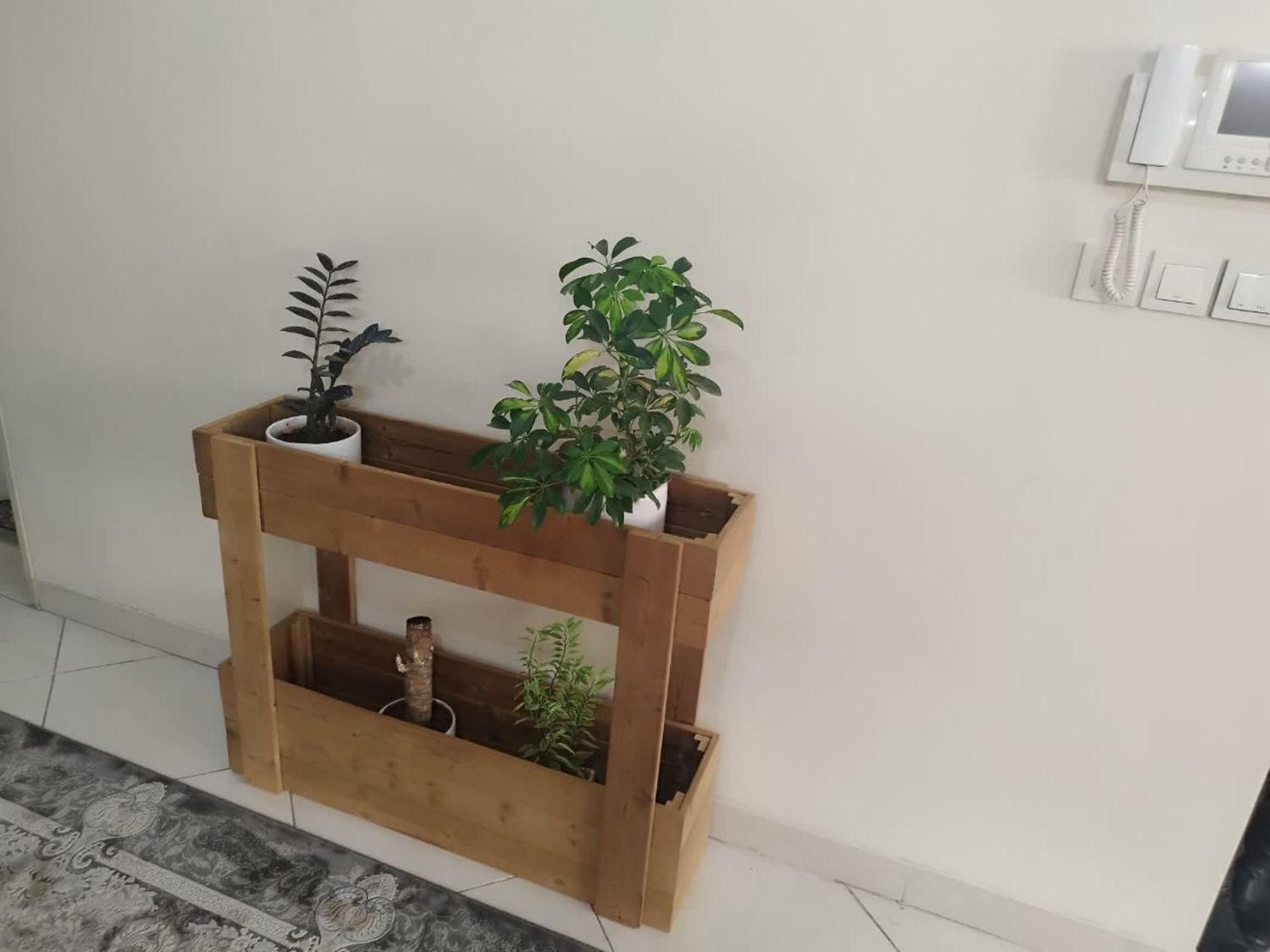 فلاورباکس|گل و گیاه طبیعی|باقرشهر, |دیوار