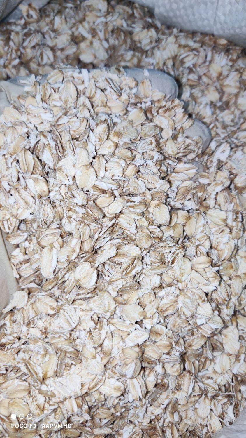 جو دوسر پرک آلمانی بصورت جزئی و کلی   اوتمیل|عمده‌فروشی|مشهد, موسوی قوچانی|دیوار