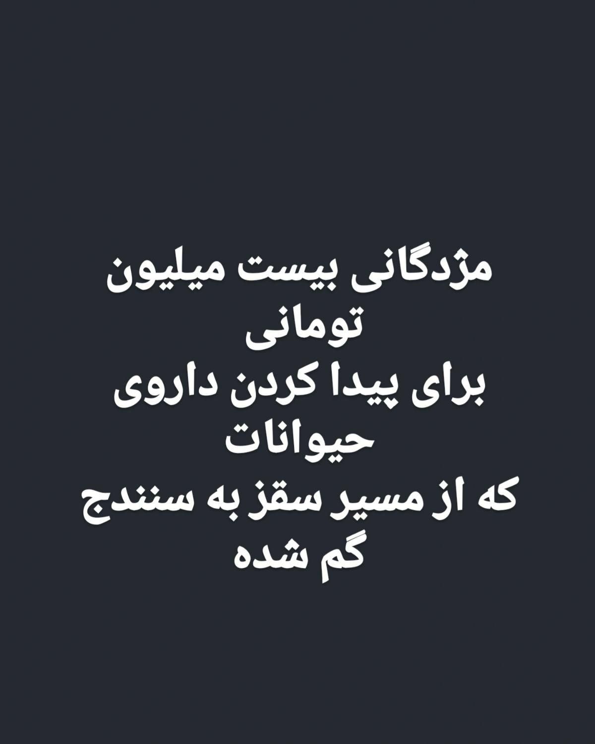 مژدگانی برای پیدا کردن داروی خارجی حیوانات گم شده|اشیا|سقز, |دیوار