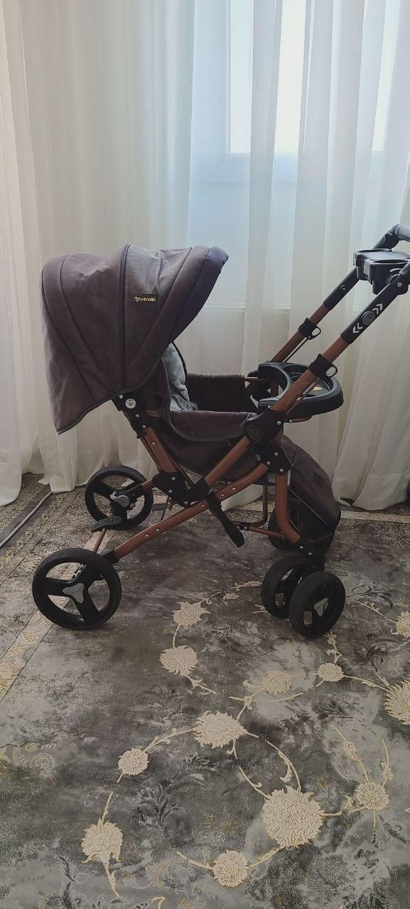 کالسکه دلیجان|کالسکه و لوازم جانبی|دماوند, گیلاوند|دیوار