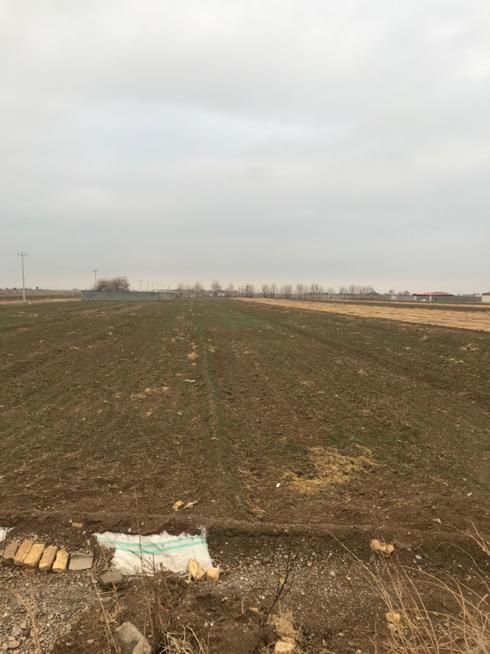 فروش ۱ هکتار درشیدان|فروش دفتر صنعتی، کشاورزی، تجاری|اصفهان, بهارستان|دیوار