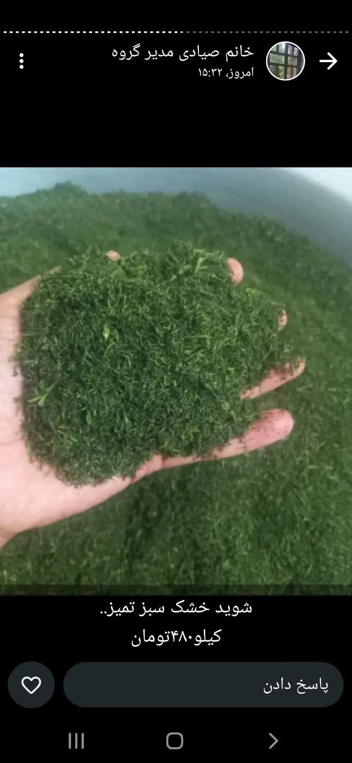 سبزی مارکت دلسا با ارائه انواع سبزیجات تازه و خشک|خوردنی و آشامیدنی|صدرا-فارس, فاز ۲|دیوار