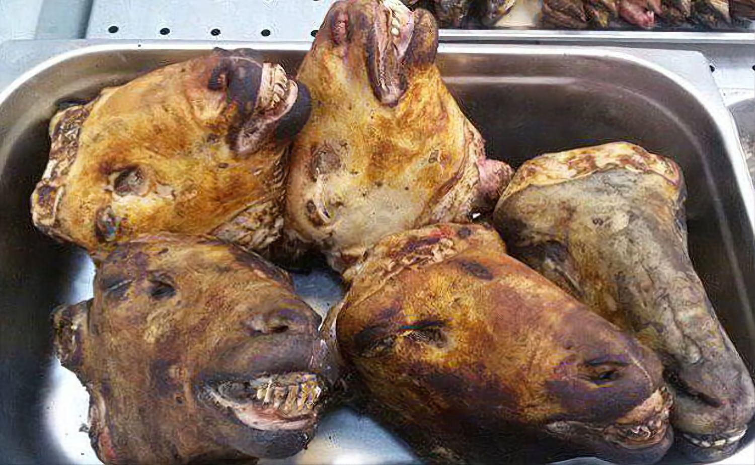 فروش گوسفند گوشتی وزنده باسکول ۲۰تا۱۰۰کیلو|حیوانات مزرعه|مشهد, توس (بلوار توس)|دیوار