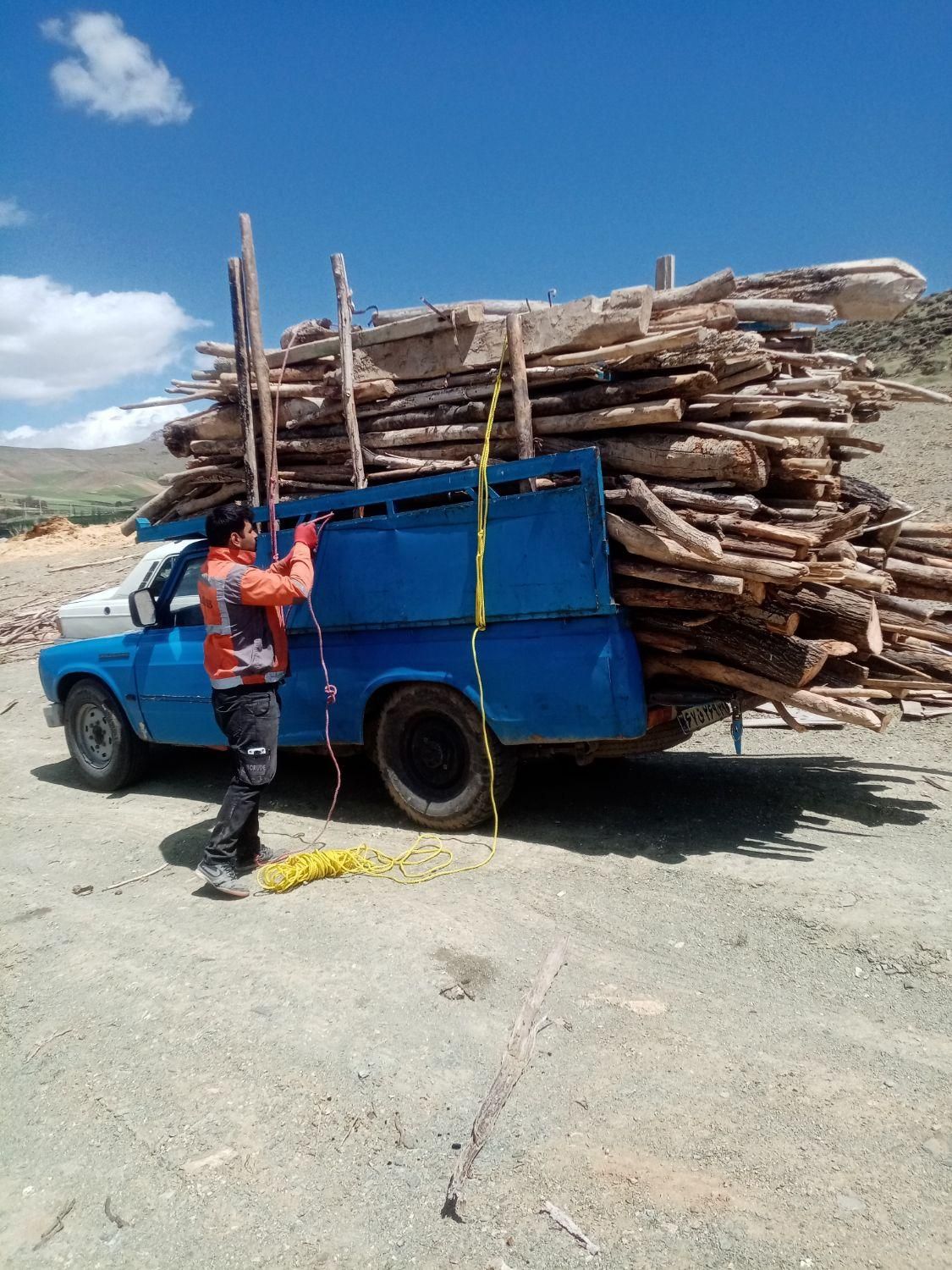 خرید و فروش چوب با بهترین قیمت|خدمات باغبانی و درختکاری|سنقر, |دیوار