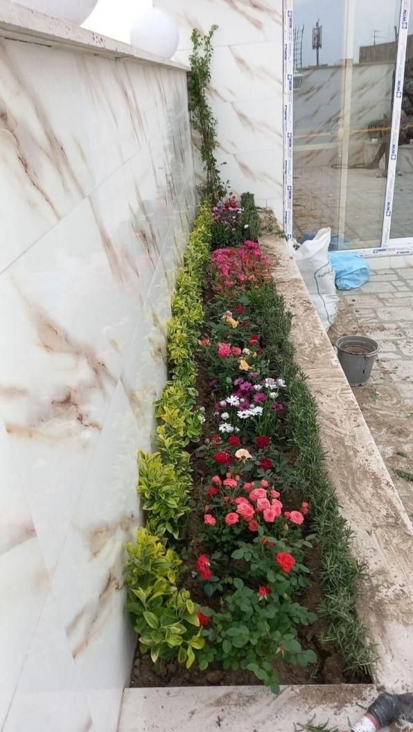 خدمات باغبانی گل کاری هرسکاری و تعویض خاک گلدون|خدمات باغبانی و درختکاری|تهران, آرژانتین|دیوار