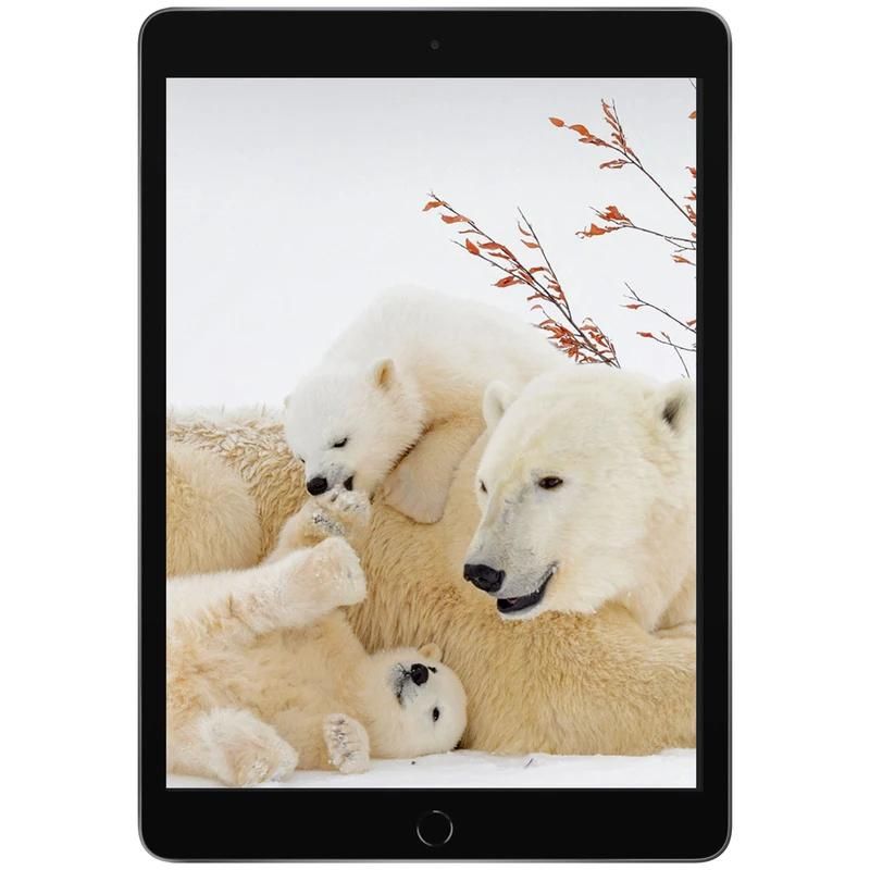 IPAD 2021|تبلت|بومهن, |دیوار