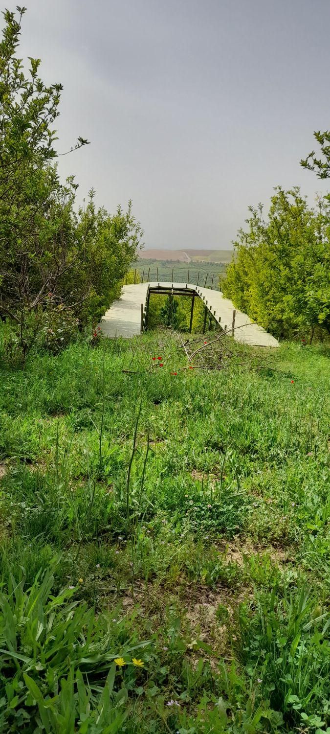 اجاره باغ ویلا سوییت|اجارهٔ کوتاه‌مدت ویلا و باغ|بروجرد, |دیوار