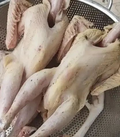 مرغ و خروس رسمی و طبیعی کشته شده و پاک شده|حیوانات مزرعه|اسلام‌شهر, چیچکلو|دیوار