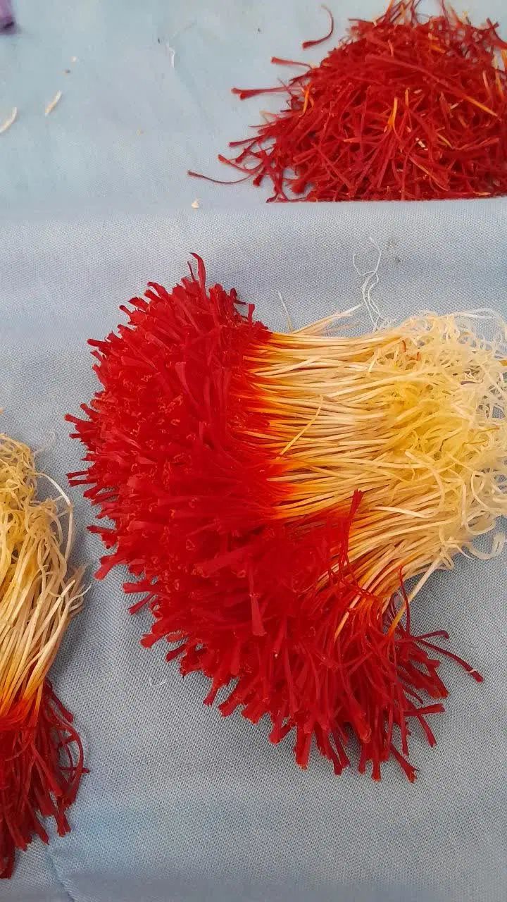 زعفران|خوردنی و آشامیدنی|اصفهان, شهرک کاوه|دیوار