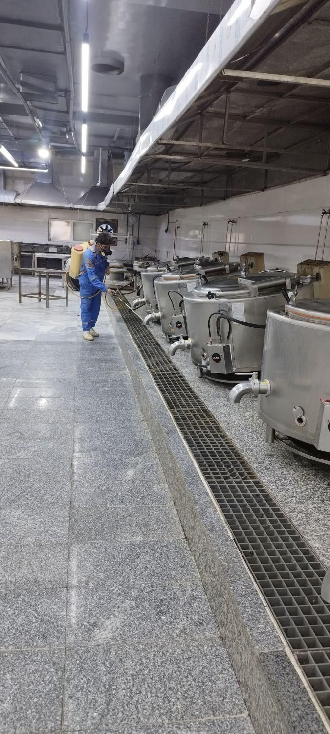 سمپاشی و موریانه زدایی بهبهان|خدمات نظافت|بهبهان, |دیوار