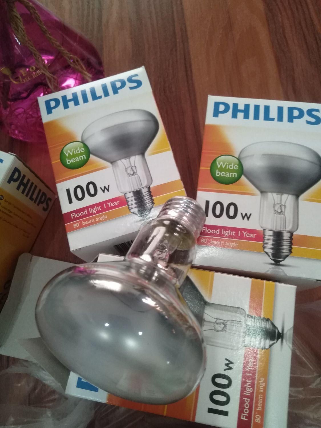 لامپ گرمایشی حرارتی ۱۰۰وات برا گرمایش حیوانات|لوازم جانبی حیوانات|رشت, استقامت ۱|دیوار