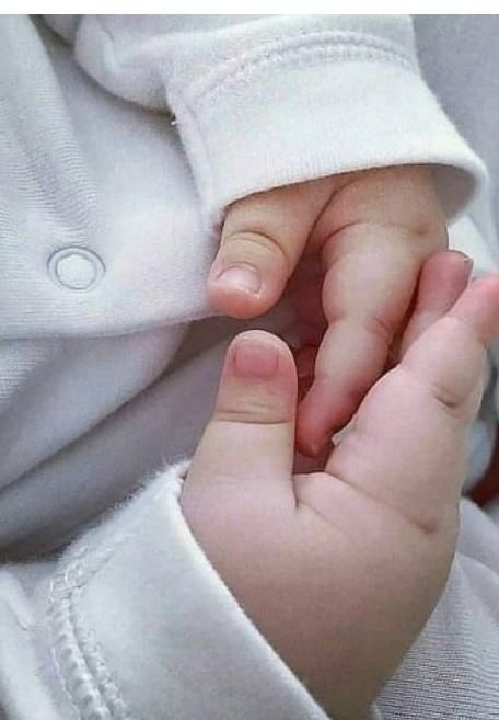 رحم جایگزین و اهدایی تخمک|فعالیت داوطلبانه|شیراز, ملاصدرا|دیوار