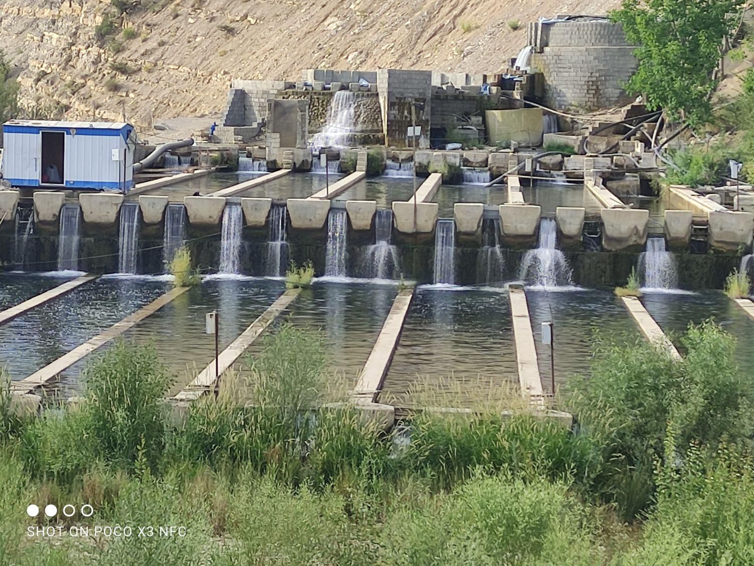 فروش ارزان ترین پرورش ماهی در ایران|فروش دفتر صنعتی، کشاورزی، تجاری|شیراز, قصرالدشت|دیوار