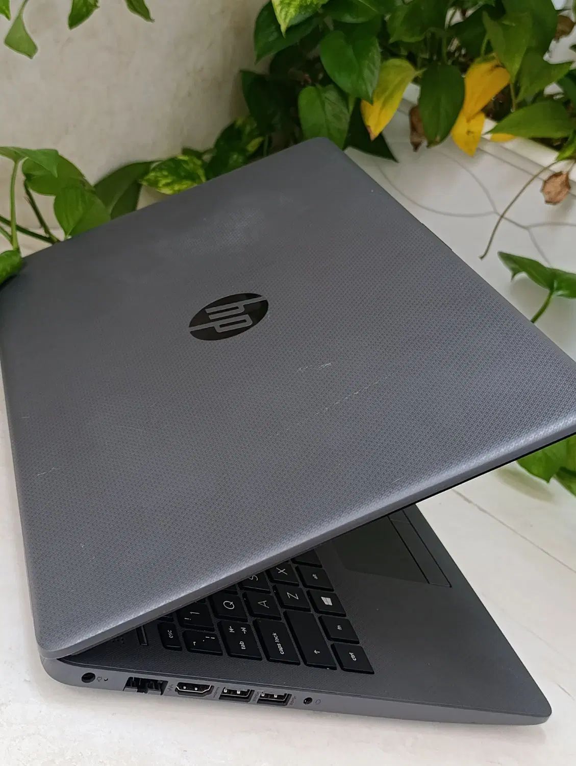 لپ تاپ hp ، فروش بصورت نقد و اقساطی|رایانه همراه|اصفهان, لاله|دیوار