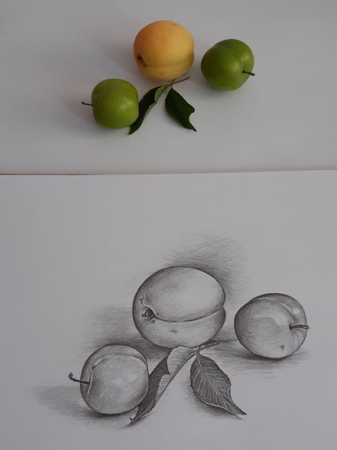 آموزش خوشنویسی نقاشی|خدمات آموزشی|اندیشه, اندیشه فاز ۲|دیوار