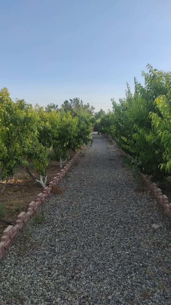 اجاره روزانه/هفتگی/ماهانه ویلا ۱۰۰۰ متری|اجارهٔ کوتاهمدت ویلا و باغ|نظرآباد, قوچ حصار|دیوار