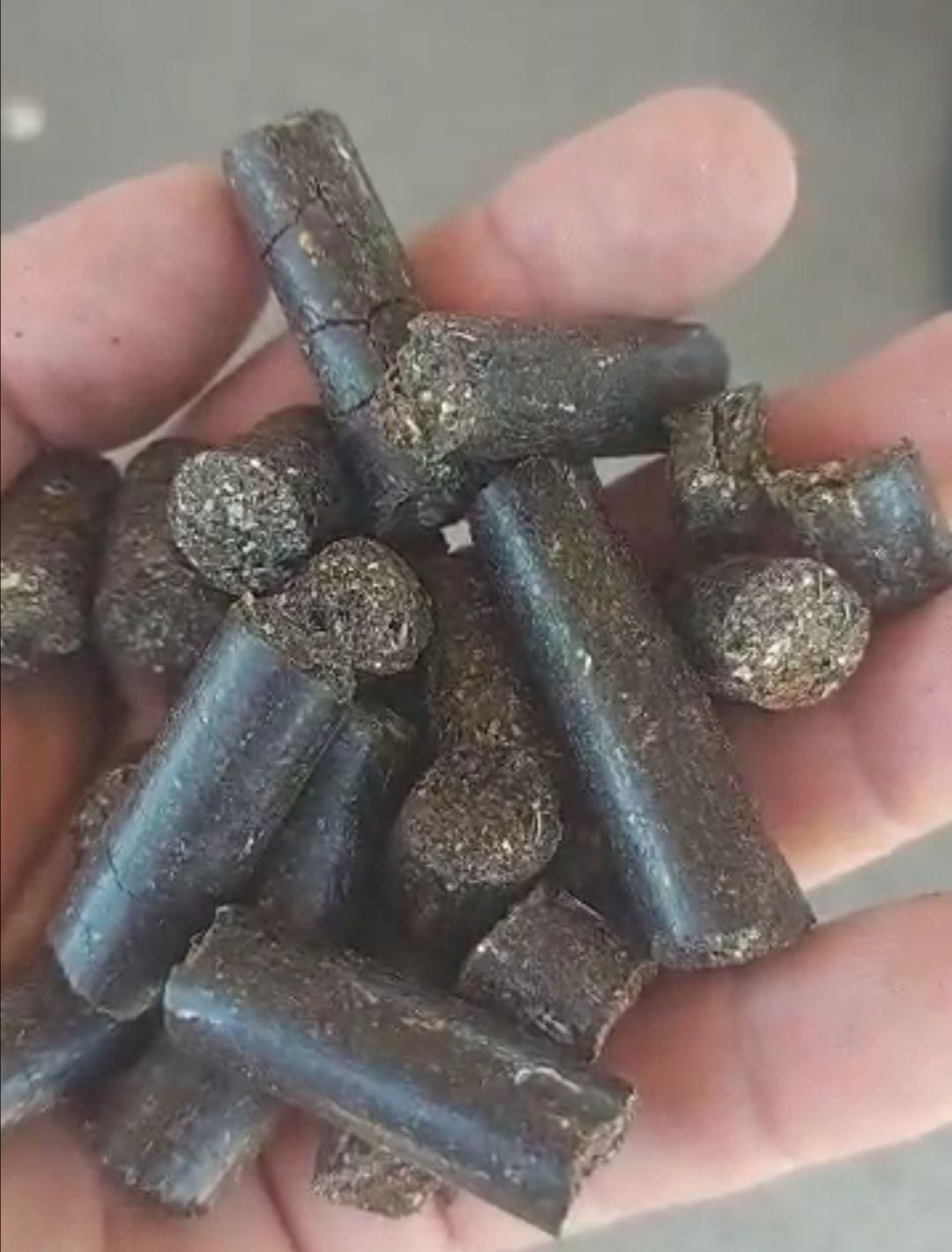 کنجاله کلزا|حیوانات مزرعه|کرج, عظیمیه|دیوار