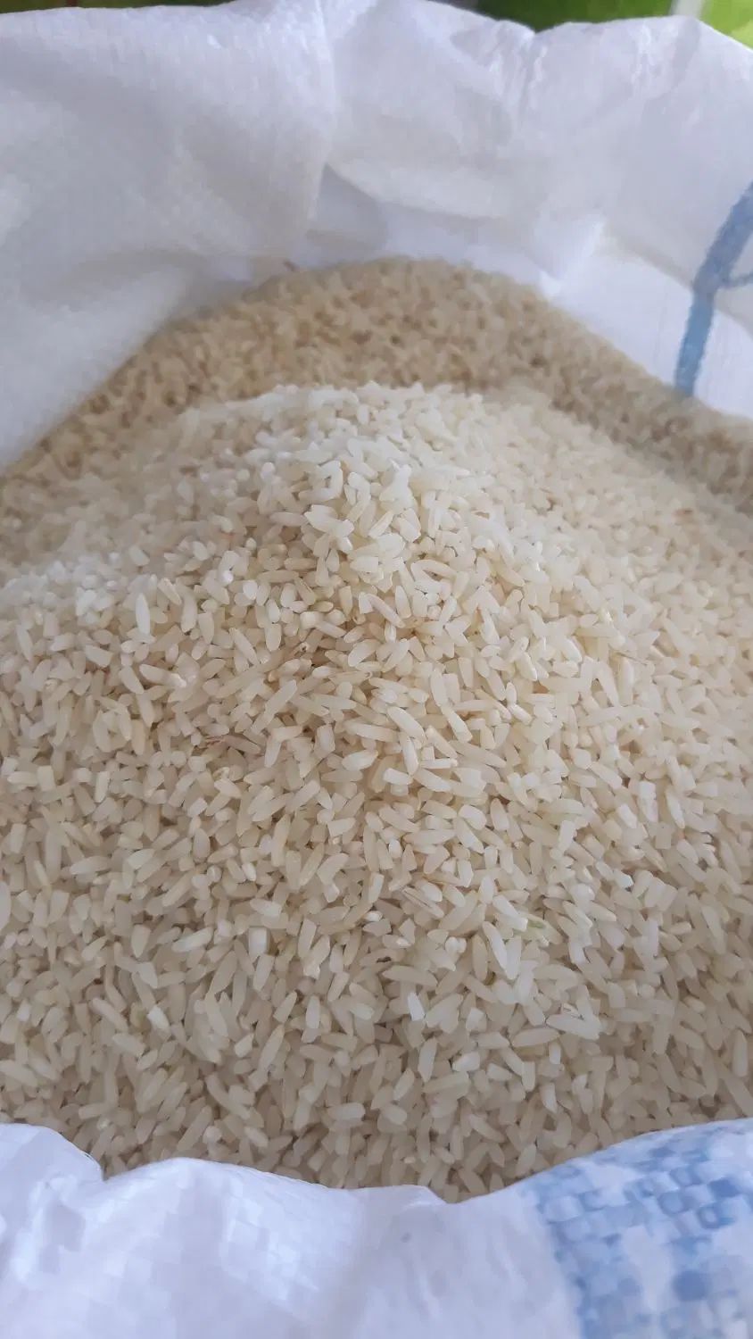 لاشه طارم فریدونکنار اعلاء اعلاء فریدونکنار|خوردنی و آشامیدنی|اصفهان, عسگریه|دیوار