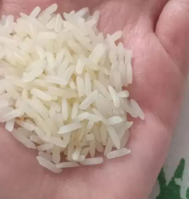 برنج هاشمی اعلا، صدری هاشمی،سرگل،گرگان،فجر|خوردنی و آشامیدنی|تهران, خاوران|دیوار