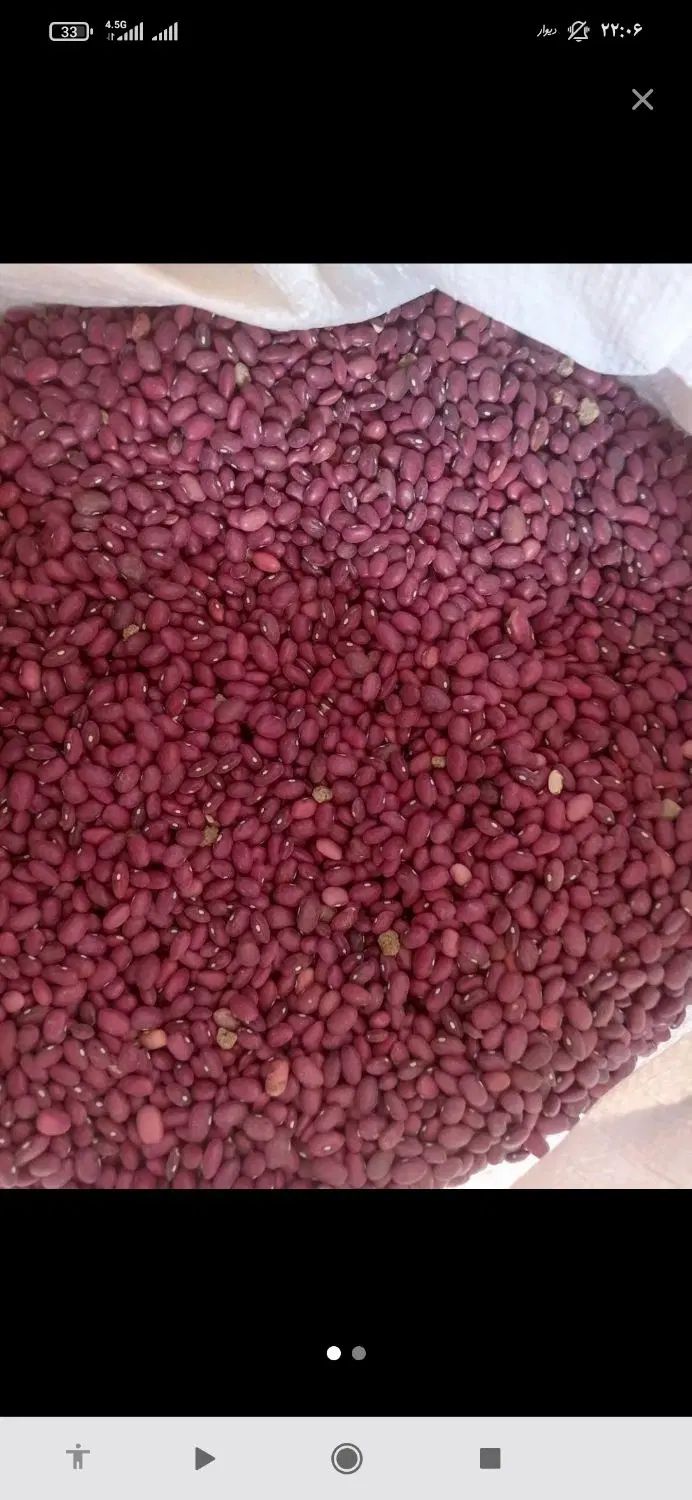 خرید و فروش حبوبات|خوردنی و آشامیدنی|تهران, حر|دیوار