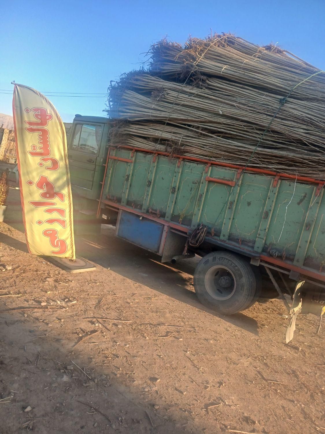 آموزش کاشت وتهیه نهال|خدمات باغبانی و درختکاری|تبریز, |دیوار