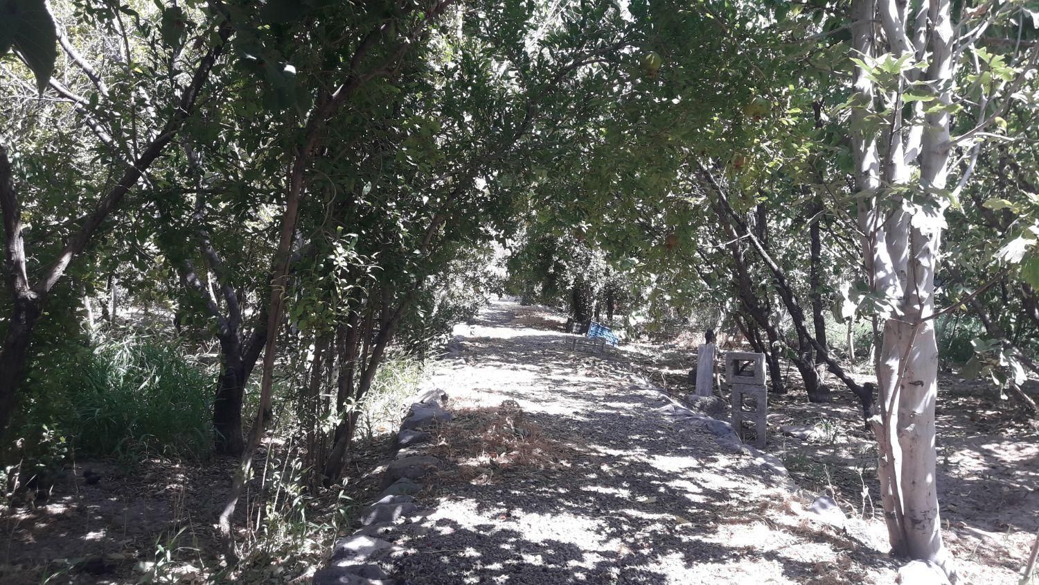 فروش باغ در روستای خوش اب و هوای زواریان|فروش زمین و ملک کلنگی|سلفچگان, |دیوار