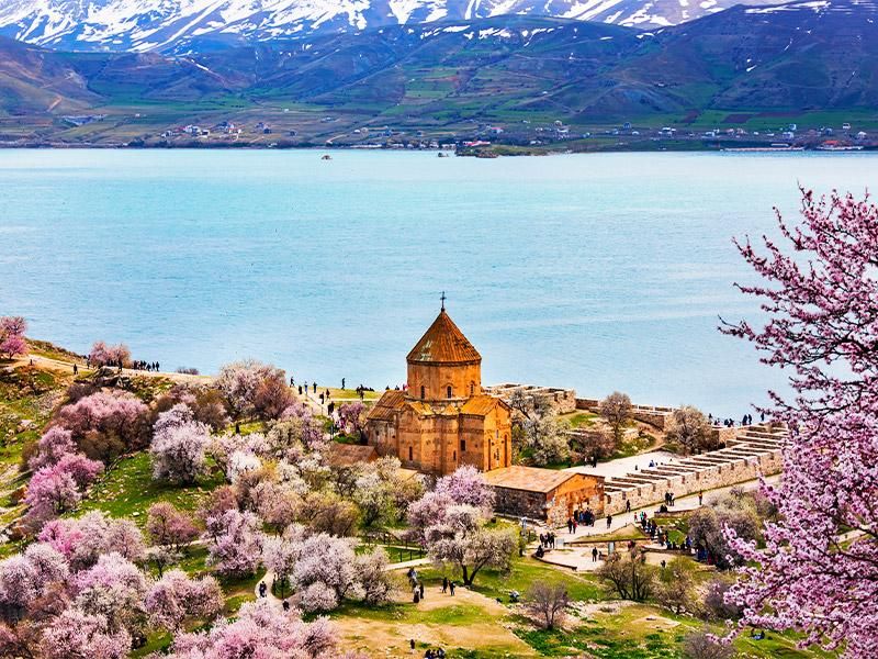 ترانسفر مرز ب مرز ایران به وان به هرجای دنیا|تور و چارتر|رشت, منظریه|دیوار