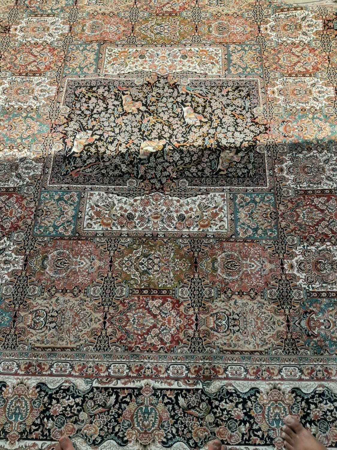 قالی ۱۵۰۰ شانه|فرش|آق قلا, |دیوار