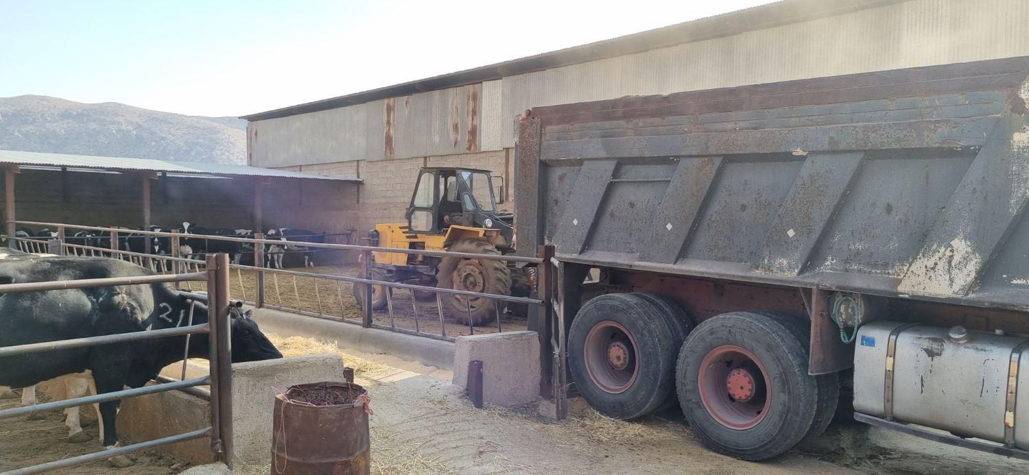 فروش کود گاو فقط (هرات و شهربابک)|خدمات باغبانی و درختکاری|خاتم, |دیوار