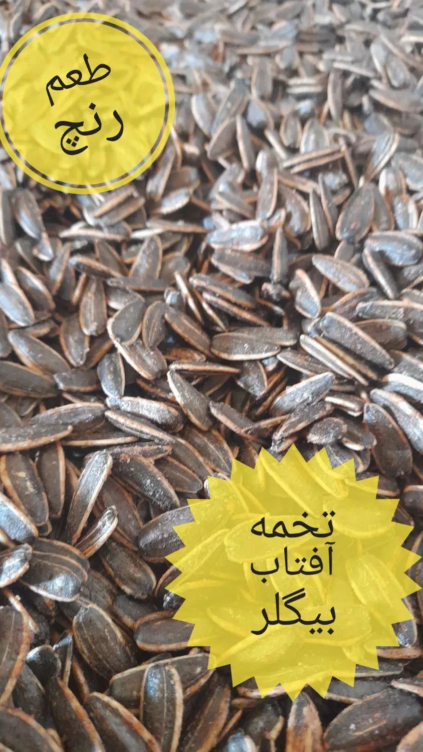 تخمه آفتابگردان خارجی|خوردنی و آشامیدنی|کرج, برغان|دیوار
