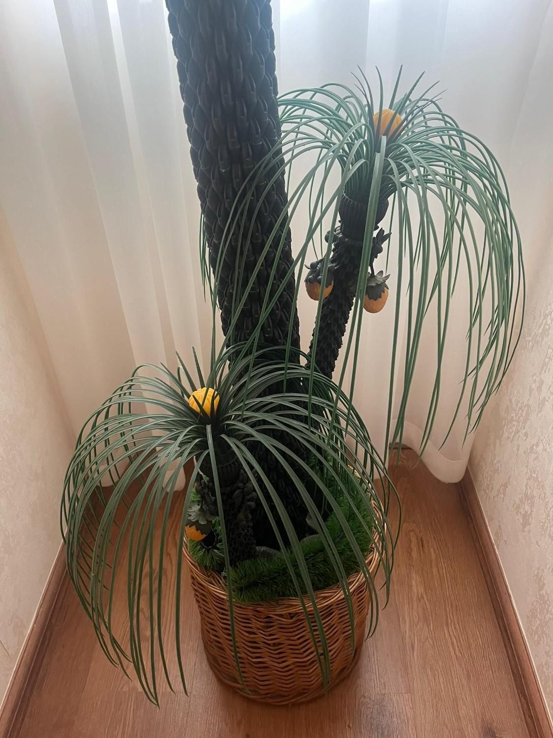 درختچه مصنوعی همراه با گلدان حصیری|گل مصنوعی|بندر انزلی, معلم|دیوار