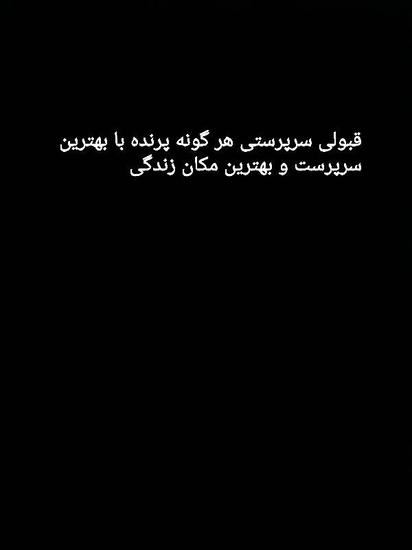 طوطی سانان و پرندگان|پرنده|سمنان, |دیوار