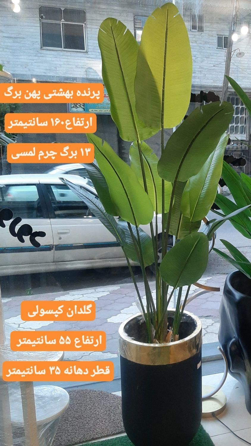 گل و درختچه مصنوعی|گل مصنوعی|رشت, بازار|دیوار