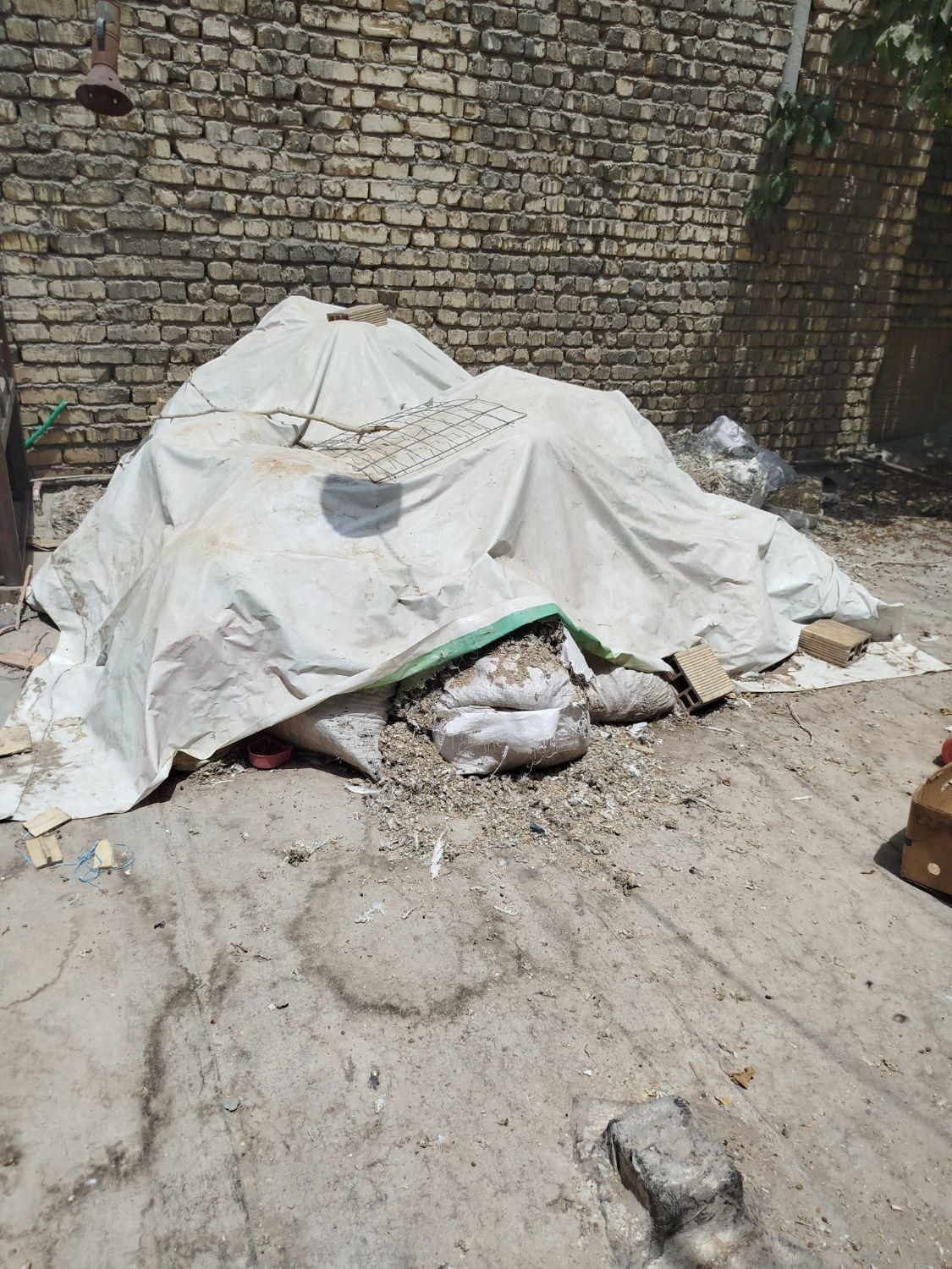 زل کبوتر|خدمات باغبانی و درختکاری|اصفهان, ارغوانیه|دیوار