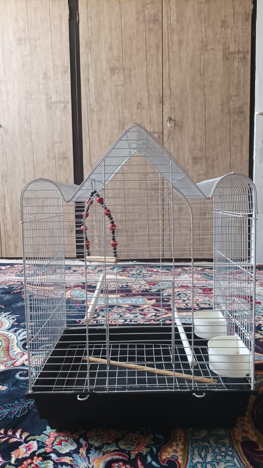 قفس پرنده سالم|لوازم جانبی حیوانات|قم, اسمعیل آباد|دیوار