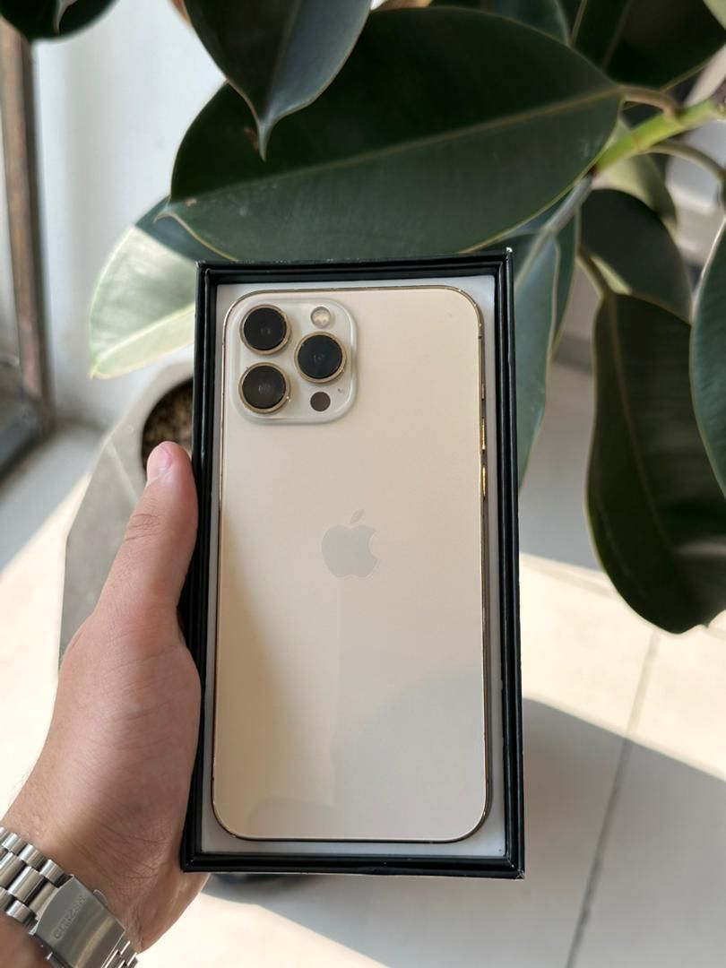اپل iPhone 13 Pro Max با حافظهٔ ۲۵۶ گیگابایت|موبایل|تهران, جردن|دیوار