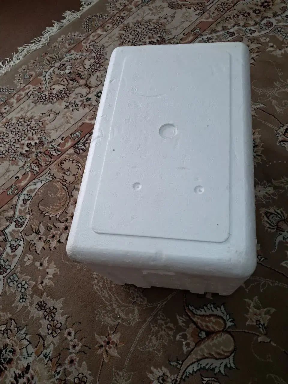یخدان مسافرتی|کوهنوردی و کمپینگ|تهران, شهرک آپادانا|دیوار