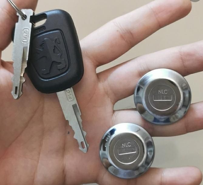 کلیدسازی ریموت سازی کیلس ماشین،ایرانی،خارجی،چینی|خدمات پیشه و مهارت|مشهد, امام خمینی|دیوار