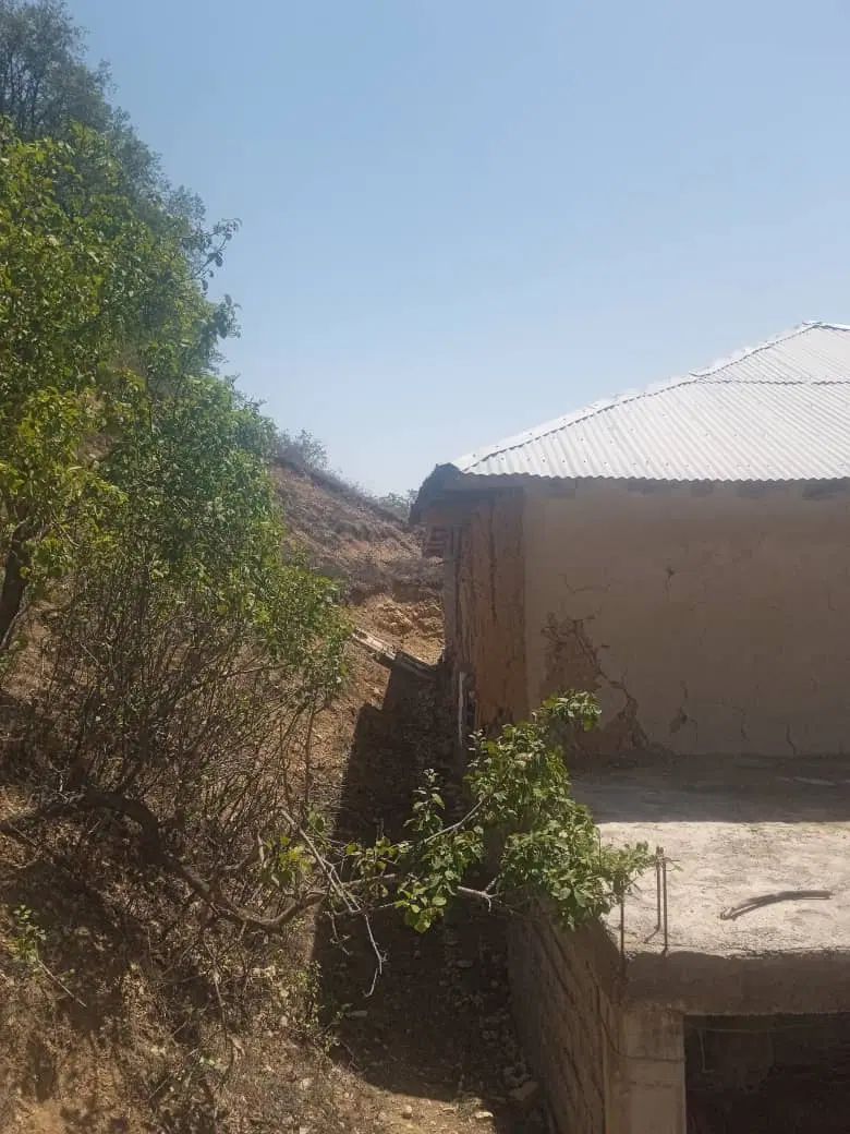 فروش زمین ۳۲۰ متری مسکونی در روستای نیاول|فروش زمین و ملک کلنگی|دیلمان, |دیوار