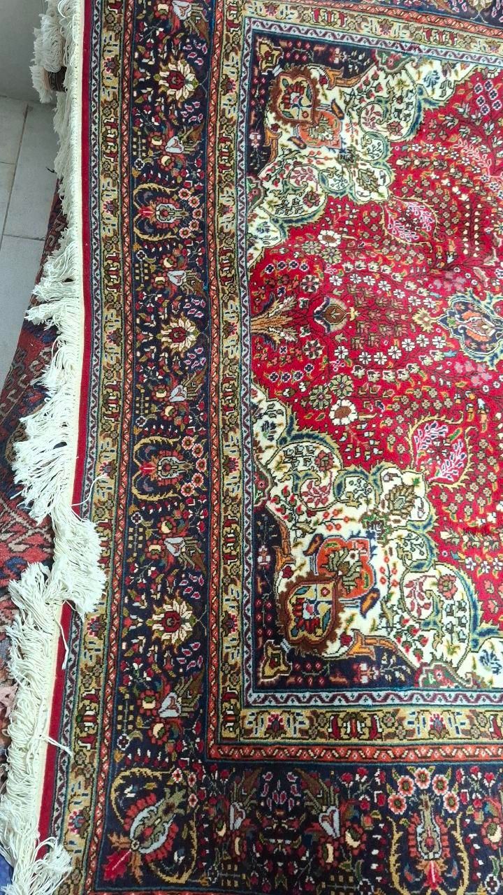 تک ۹متری کرمان قلم لاکی|فرش|مراغه, |دیوار