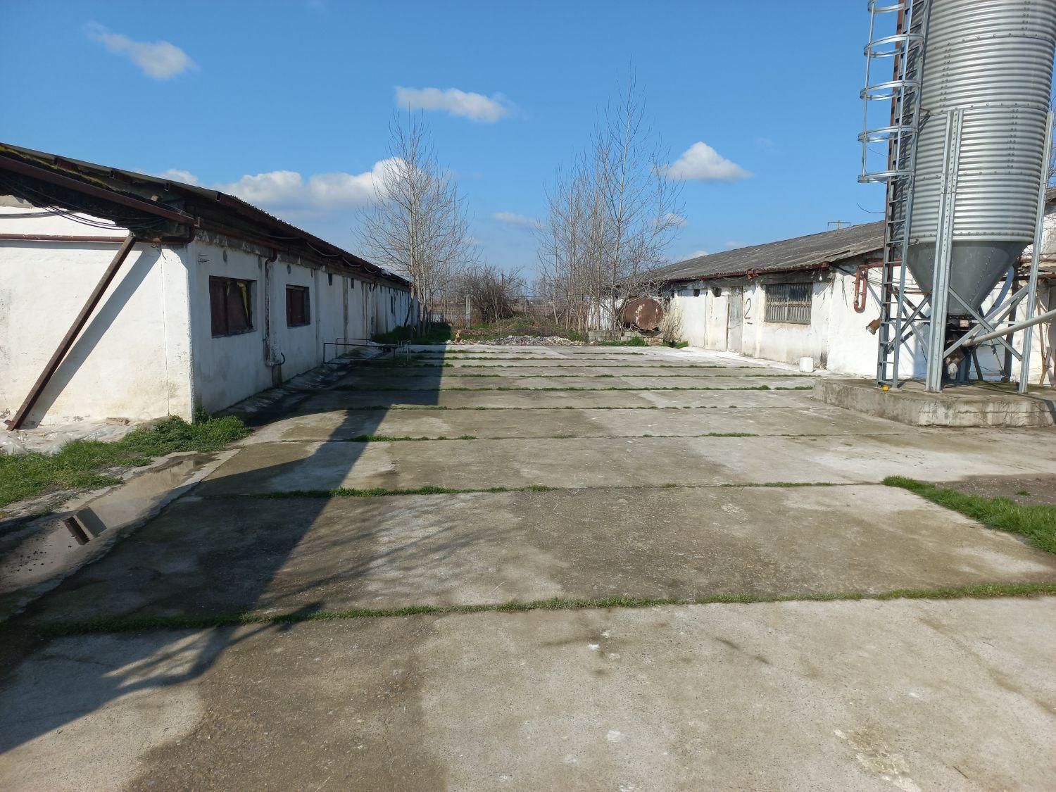 فروش مرغداری ۲۵هزار قطعه گیلان|فروش دفتر صنعتی، کشاورزی، تجاری|خمام, |دیوار