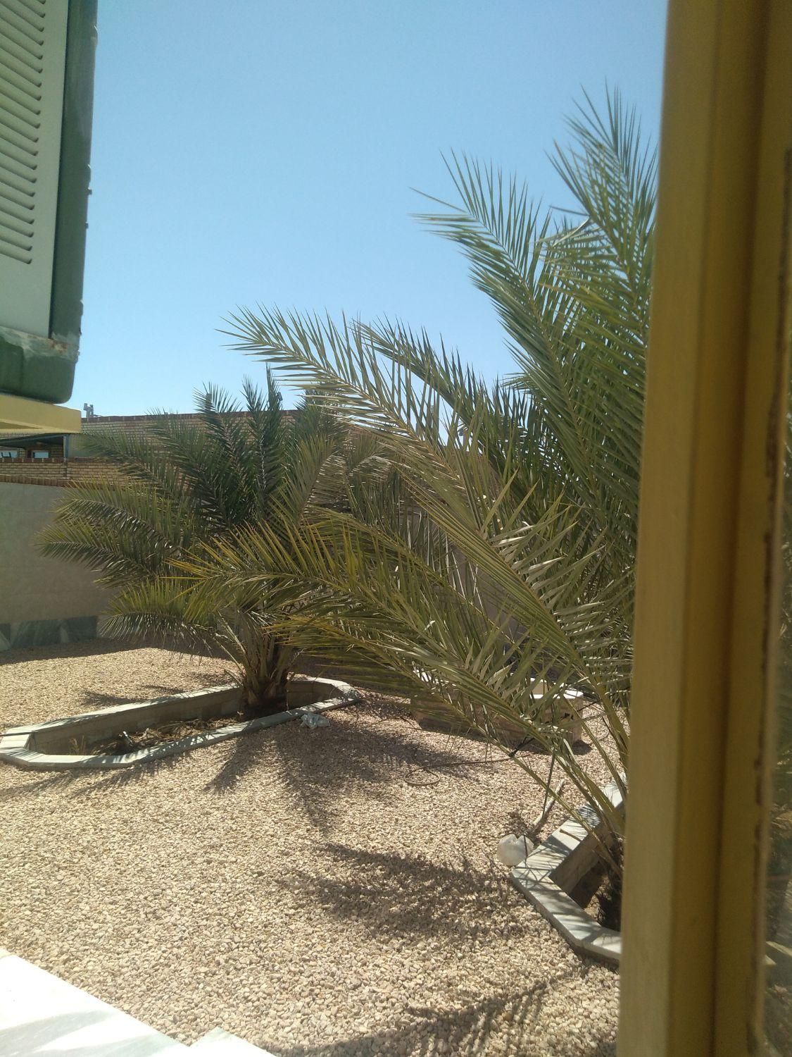 اجاره روزانه/هفتگی سوییت|اجارهٔ کوتاه‌مدت آپارتمان و سوئیت|خور (اصفهان), |دیوار