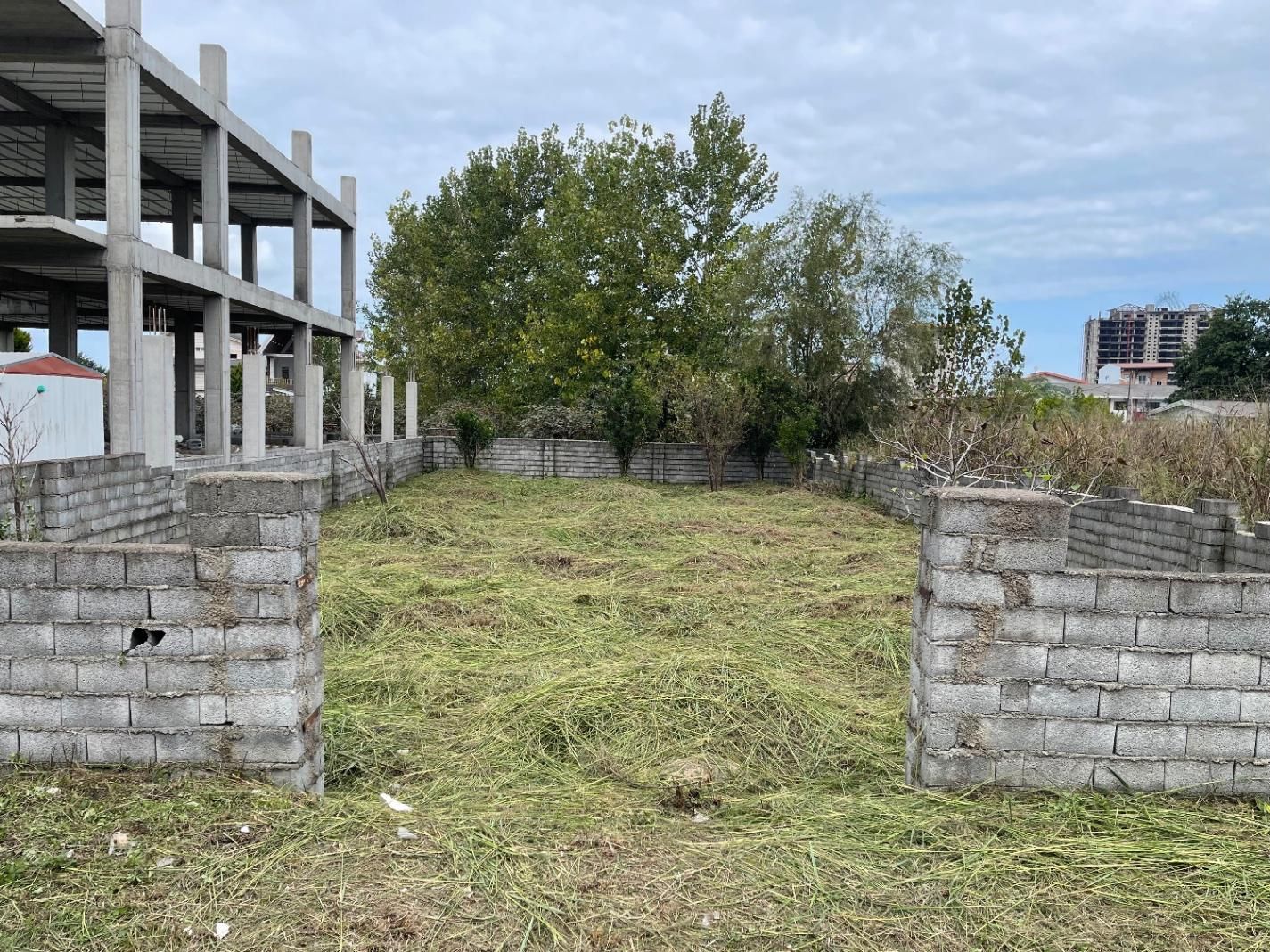 زمین سنددار شمالی جنوبی|فروش زمین و ملک کلنگی|هچیرود, |دیوار