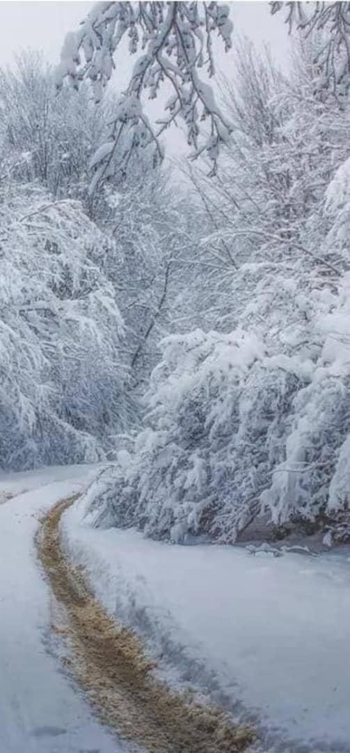 همخونه|اجارهٔ آپارتمان|تهران, نارمک|دیوار