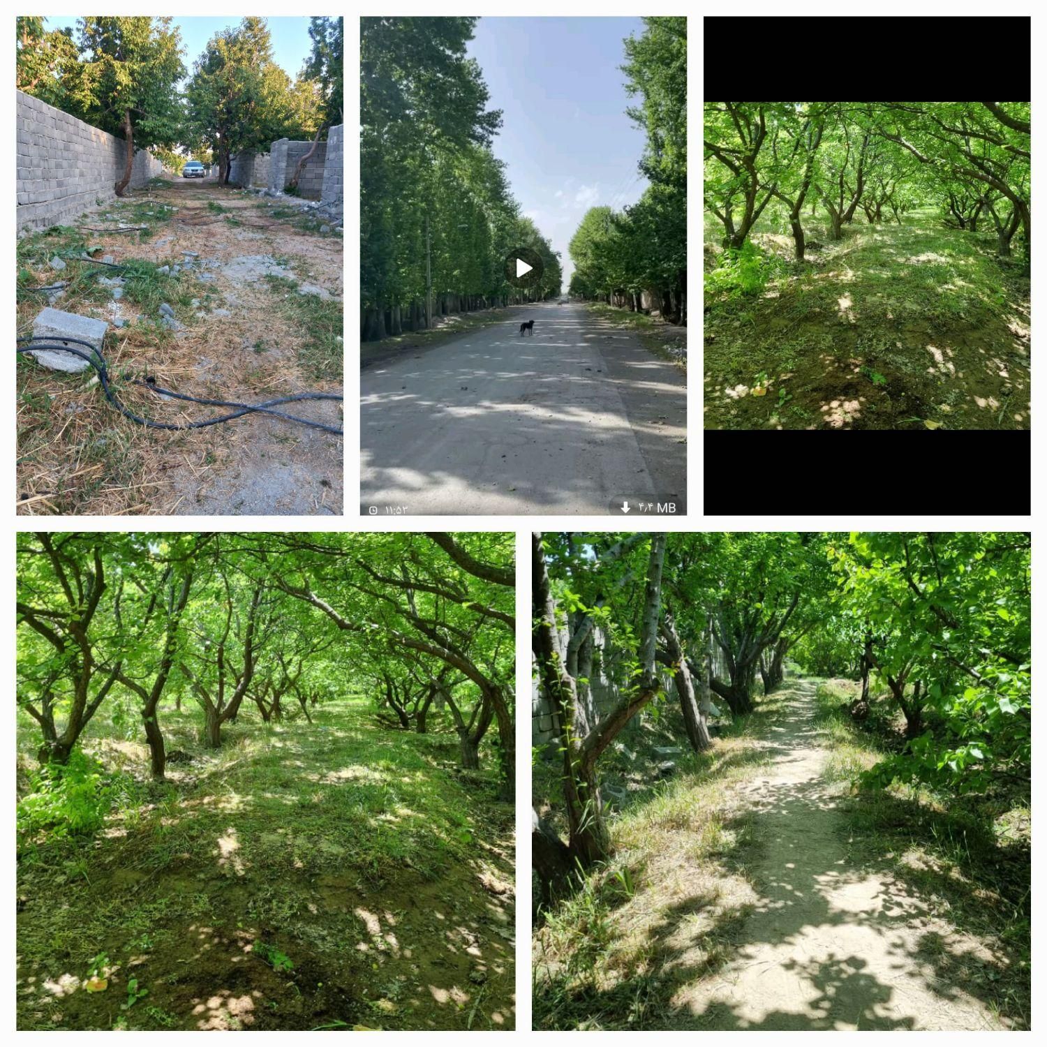 باغ ۳۴۰ متری چهاردیوار سنددار یکساله|فروش خانه و ویلا|شهریار, کرد امیر|دیوار