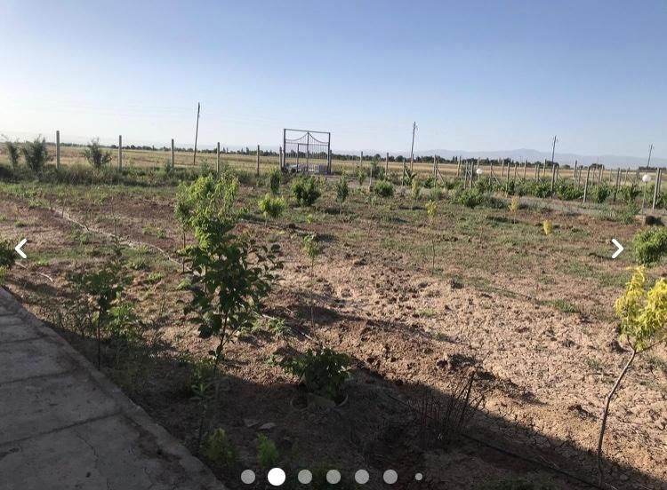 زمین کشاورزی گلخانه ای قزوین فارسیان|فروش دفتر صنعتی، کشاورزی، تجاری|قزوین, |دیوار