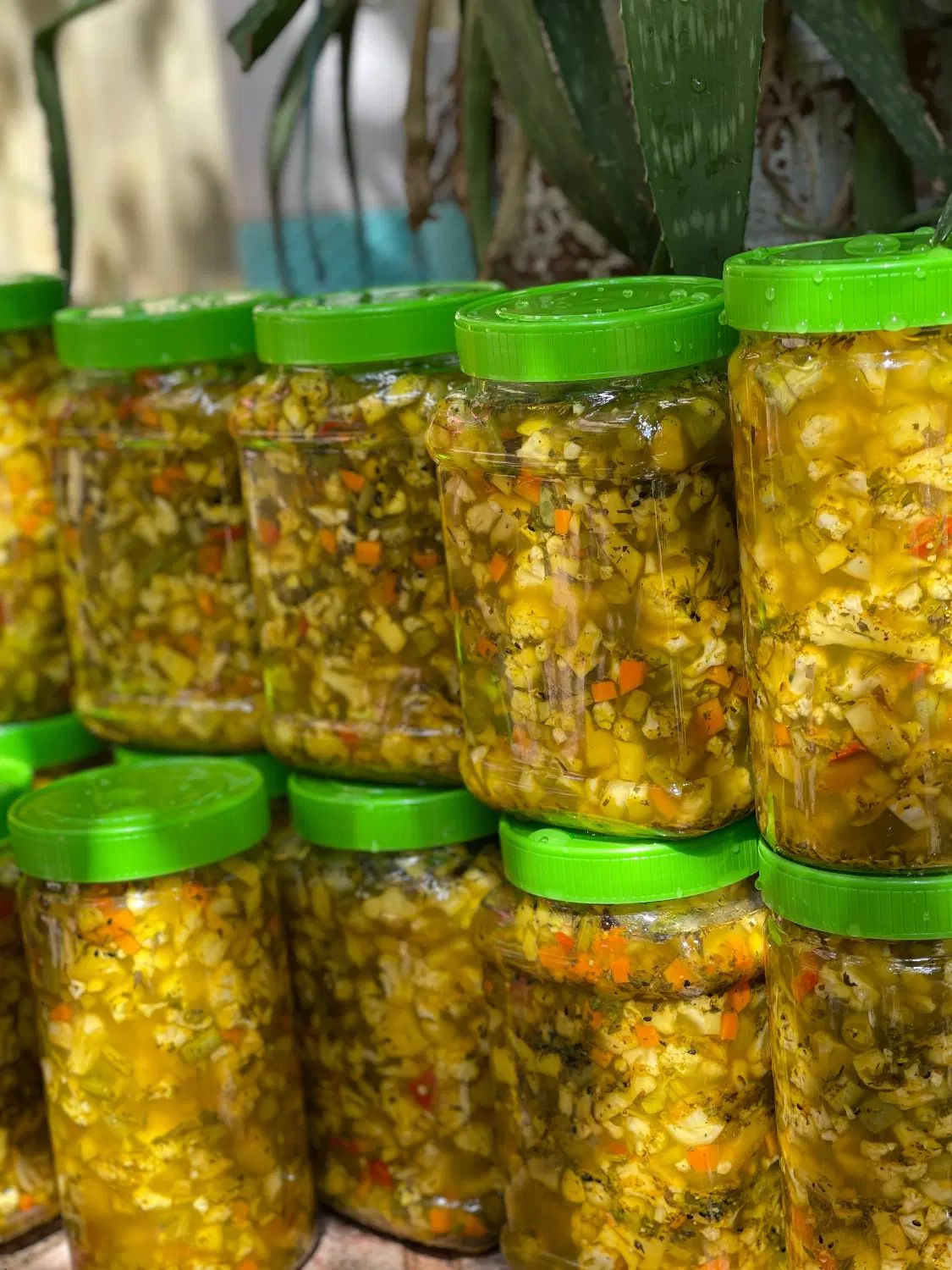 ترشی خونگی مخلوط و گوجه و لیته|خوردنی و آشامیدنی|تهران, جنت‌آباد مرکزی|دیوار
