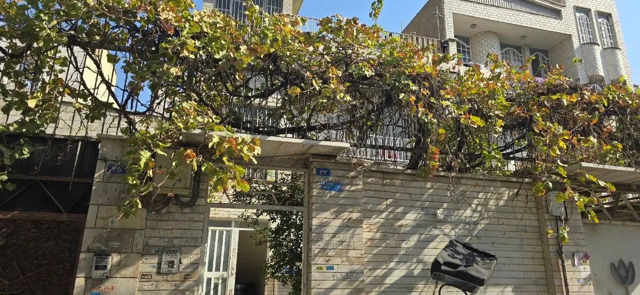 نیاز به یک همخانه برای مادری مهربان|اجارهٔ آپارتمان|تهران, تاکسیرانی|دیوار